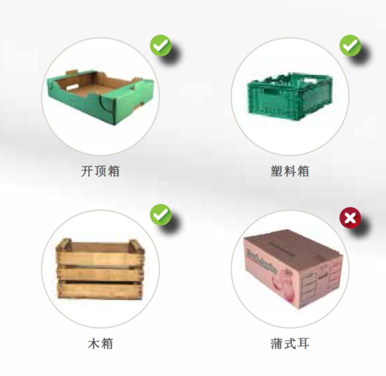 蔬菜水果专用码垛机,西班牙IPLA码垛机